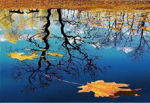 重庆助听器验配中心